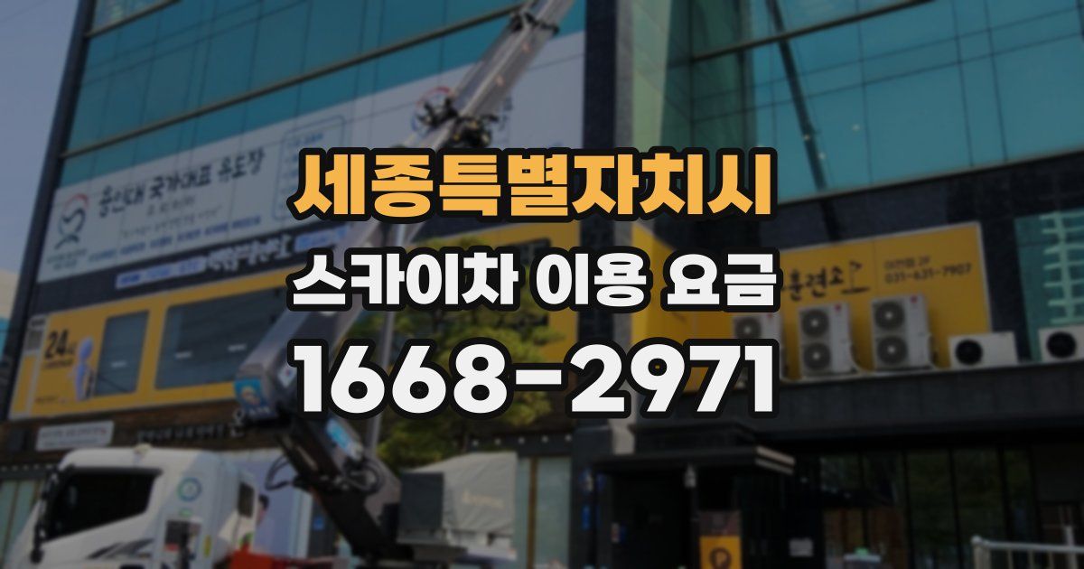 세종특별자치시 스카이차 이용 요금