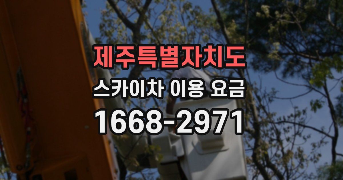 제주특별자치도 스카이차 이용 요금