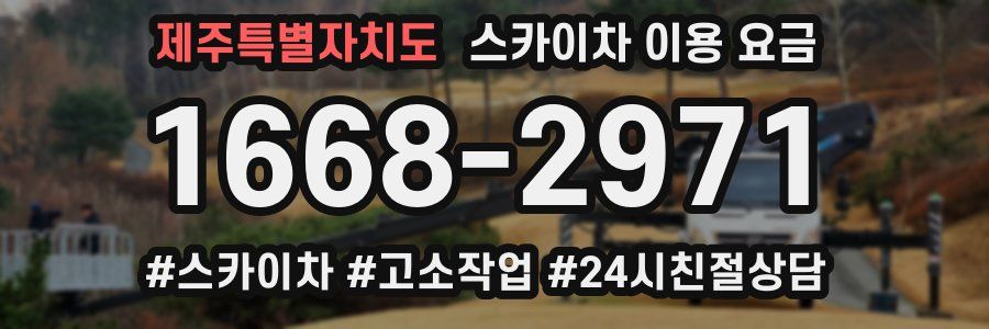 제주특별자치도 스카이차 이용 요금