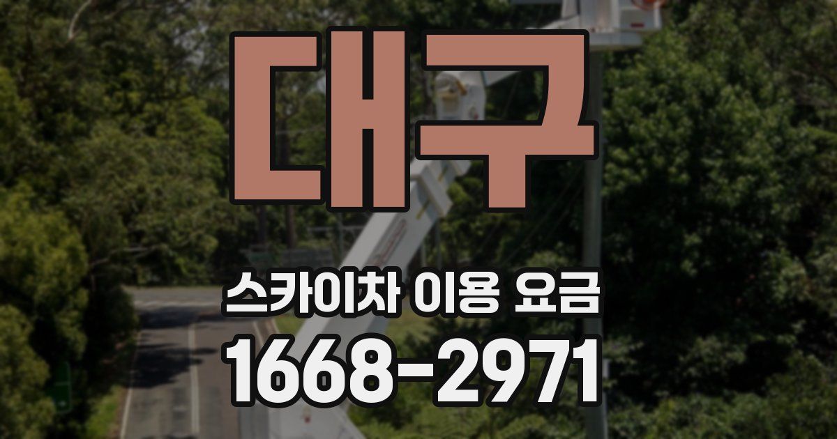 대구 스카이차 이용 요금