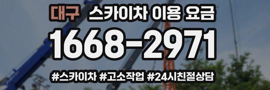 대구 스카이차 이용 요금