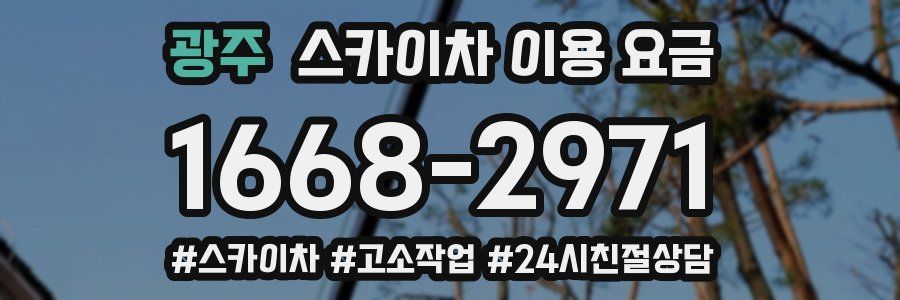 광주 스카이차 이용 요금