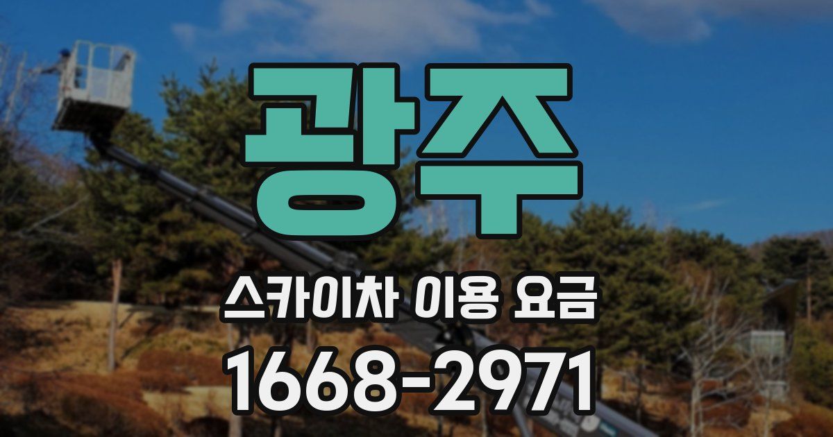 광주 스카이차 이용 요금