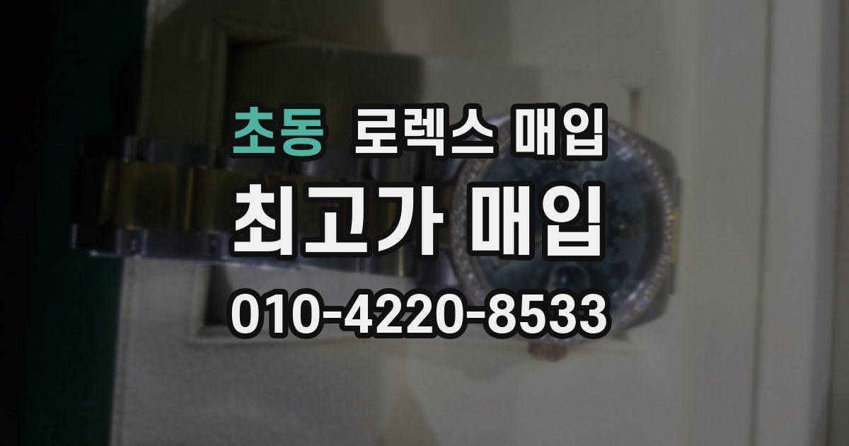 초동 로렉스 매입