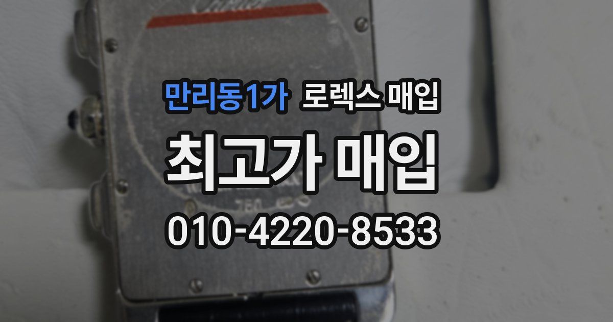 만리동1가 로렉스 매입