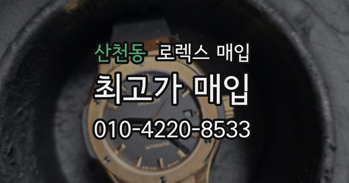 산천동 로렉스 매입