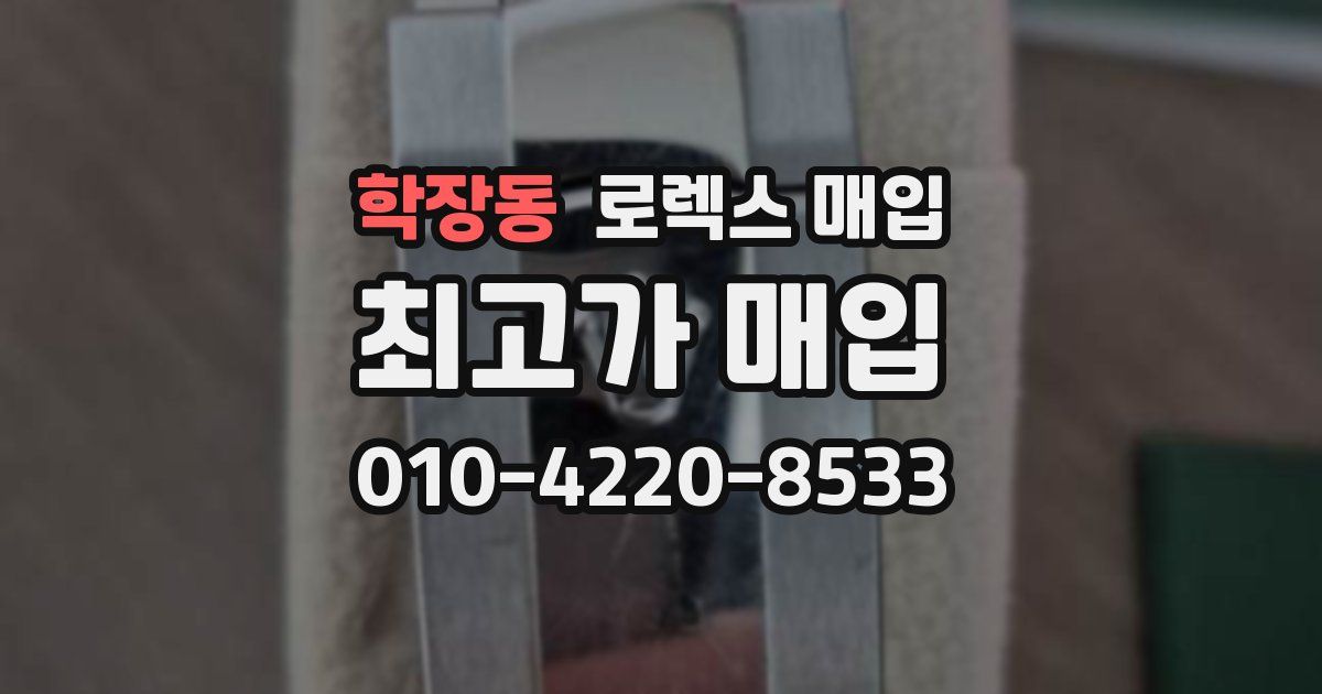 학장동 로렉스 매입