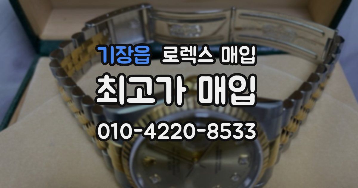 기장읍 로렉스 매입