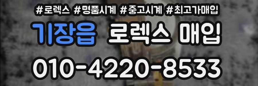 기장읍 로렉스 매입