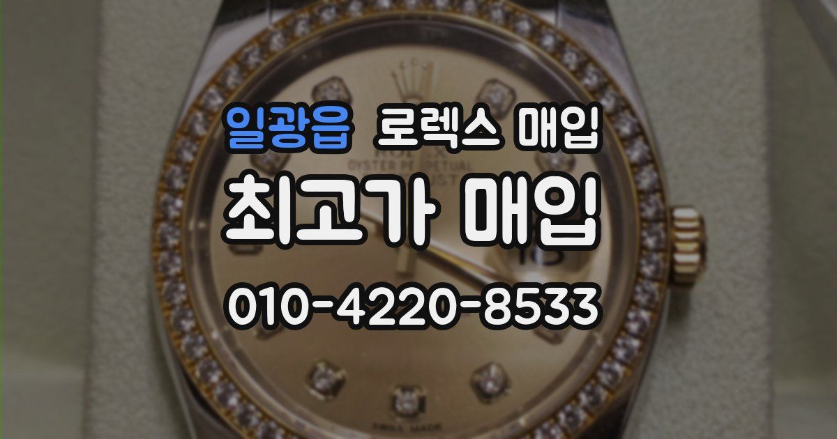 일광읍 로렉스 매입