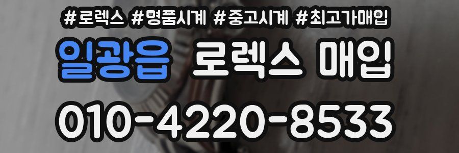 일광읍 로렉스 매입