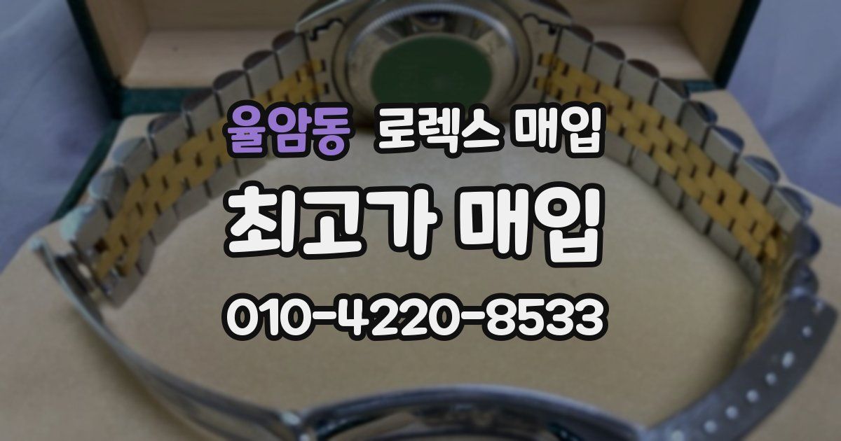 율암동 로렉스 매입