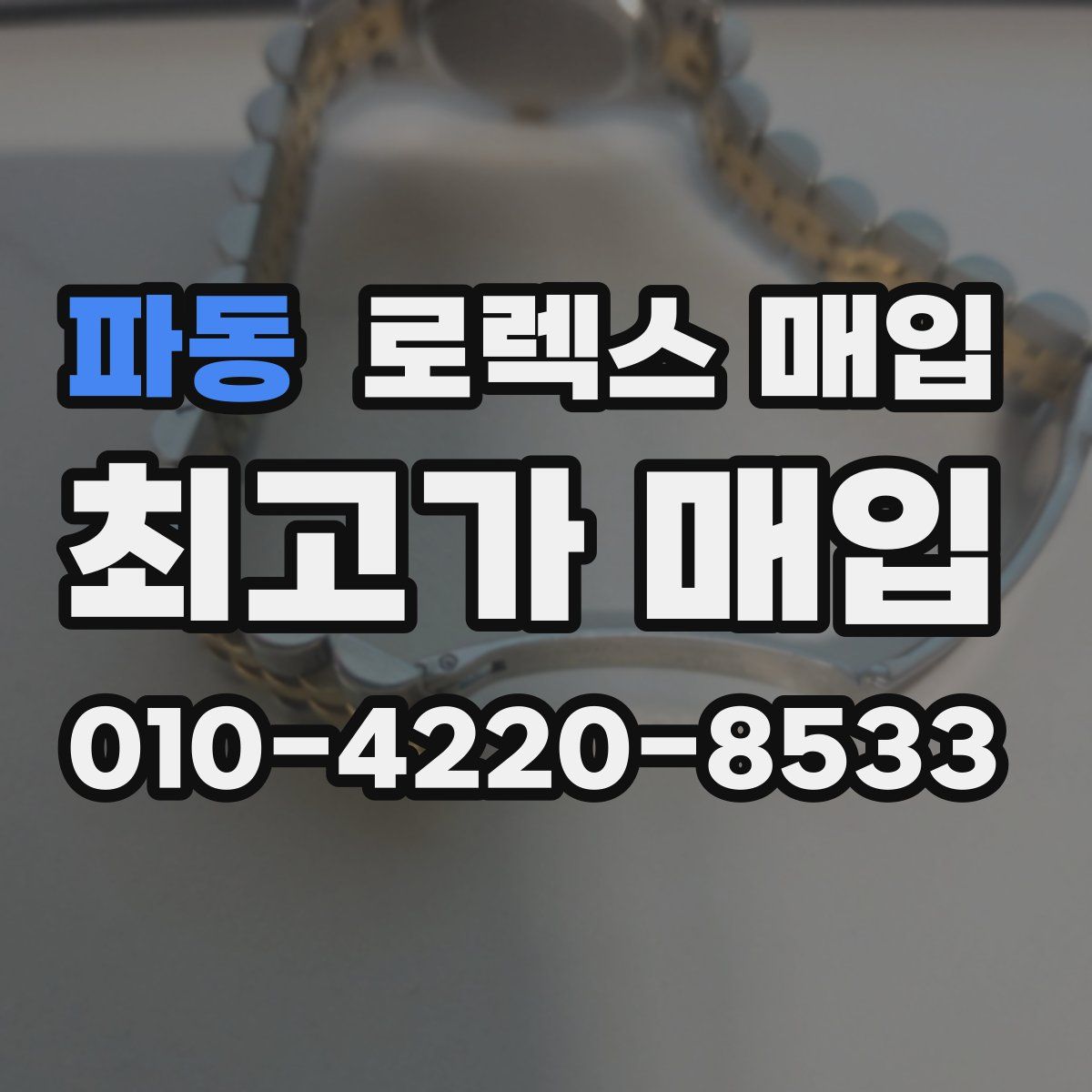 파동 로렉스 매입