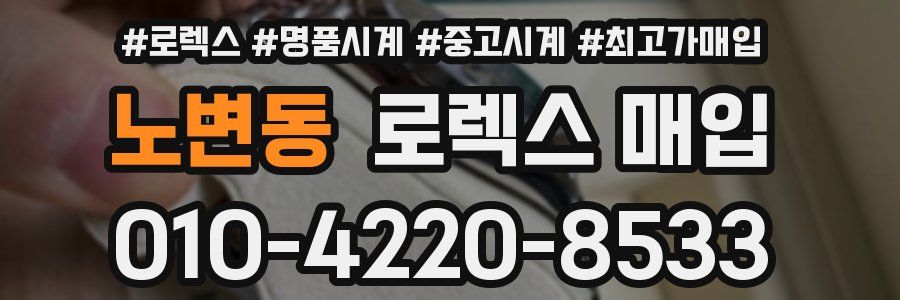 노변동 로렉스 매입