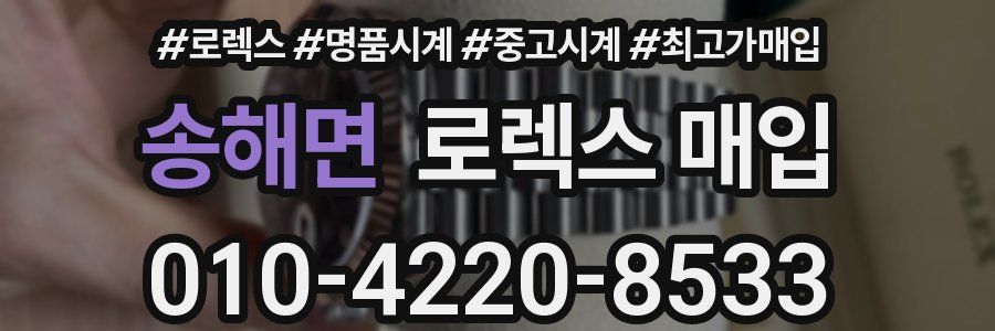 송해면 로렉스 매입