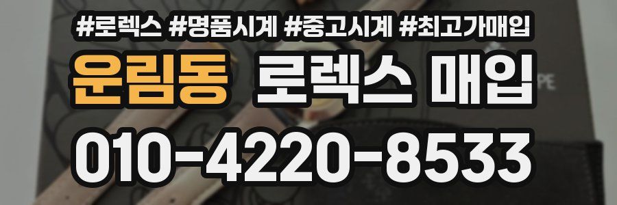운림동 로렉스 매입