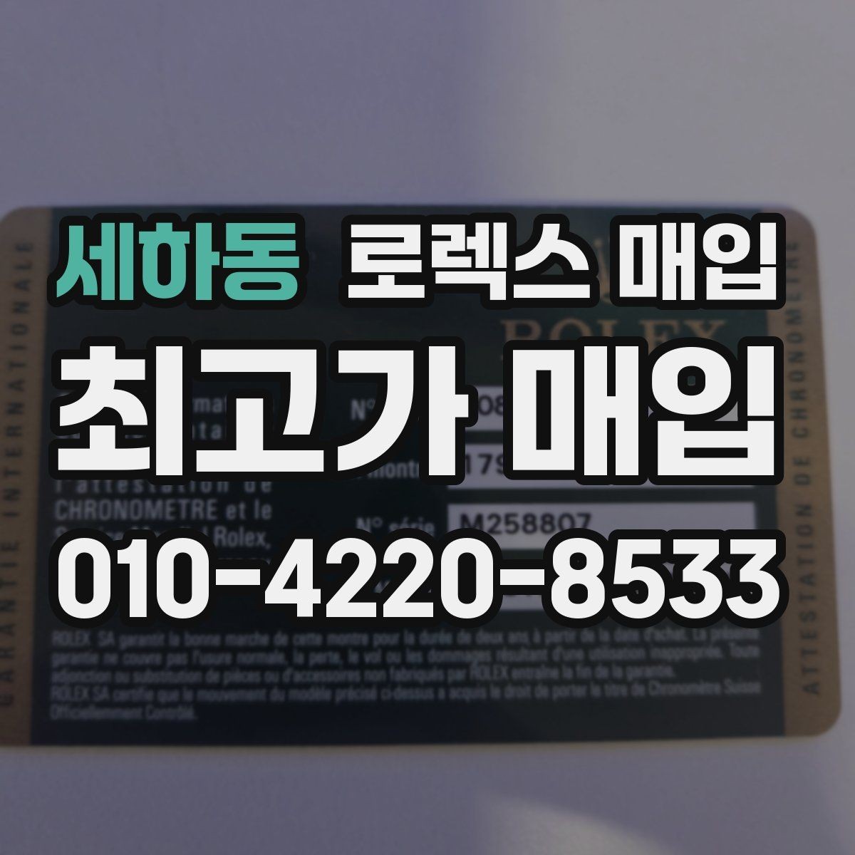 세하동 로렉스 매입 오피셜 퍼페츄얼 시세 흐름 요약