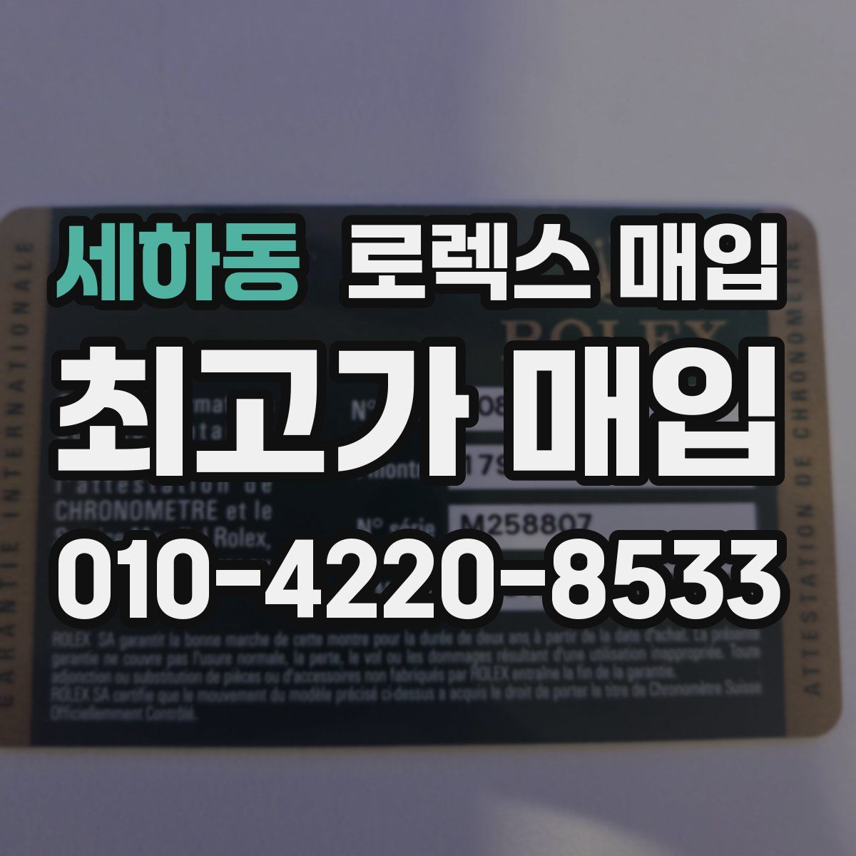 세하동 로렉스 매입