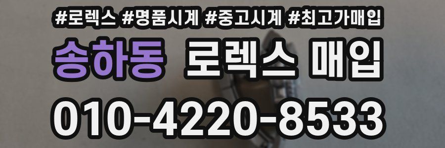 송하동 로렉스 매입