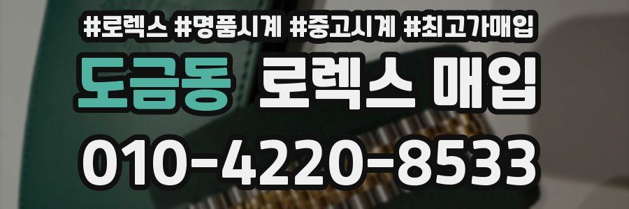 도금동 로렉스 매입