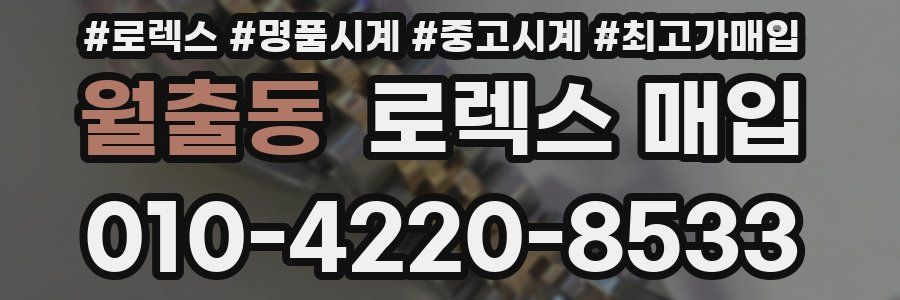 월출동 로렉스 매입