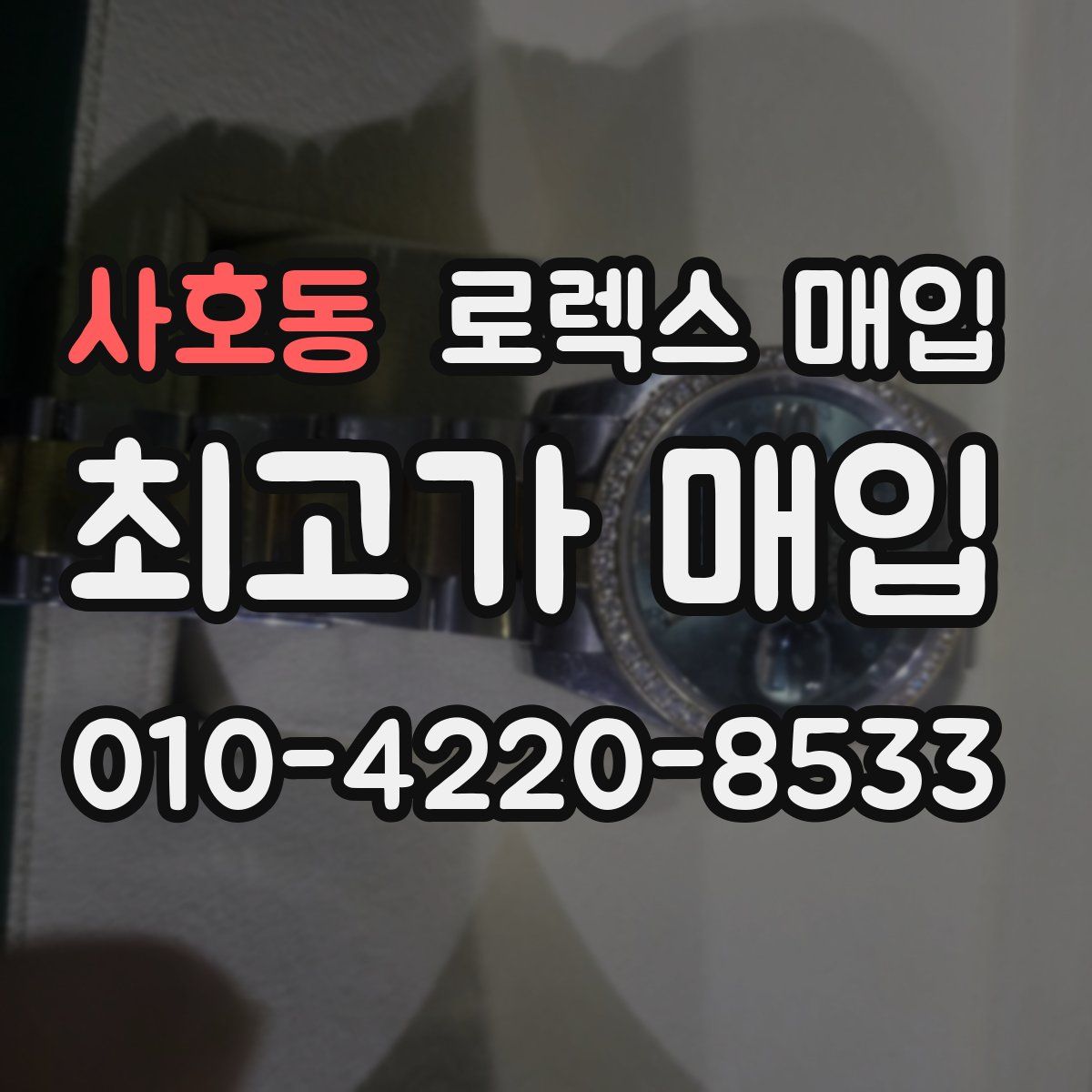 사호동 로렉스 매입