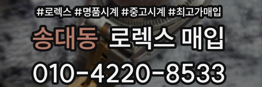 송대동 로렉스 매입