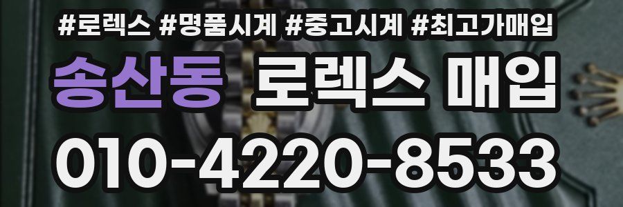 송산동 로렉스 매입