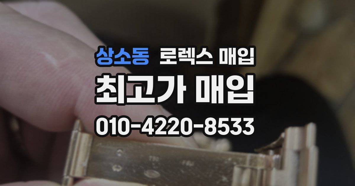 상소동 로렉스 매입