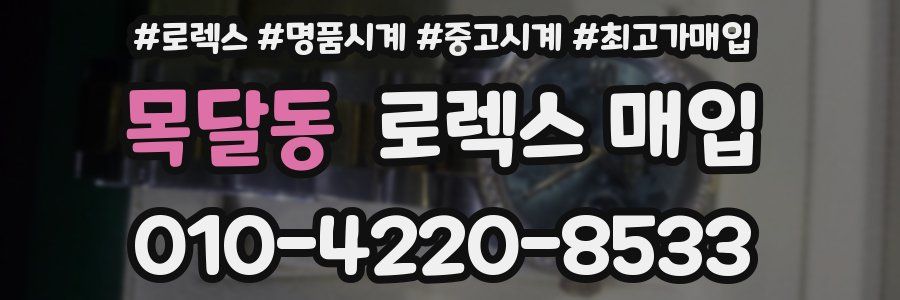 목달동 로렉스 매입