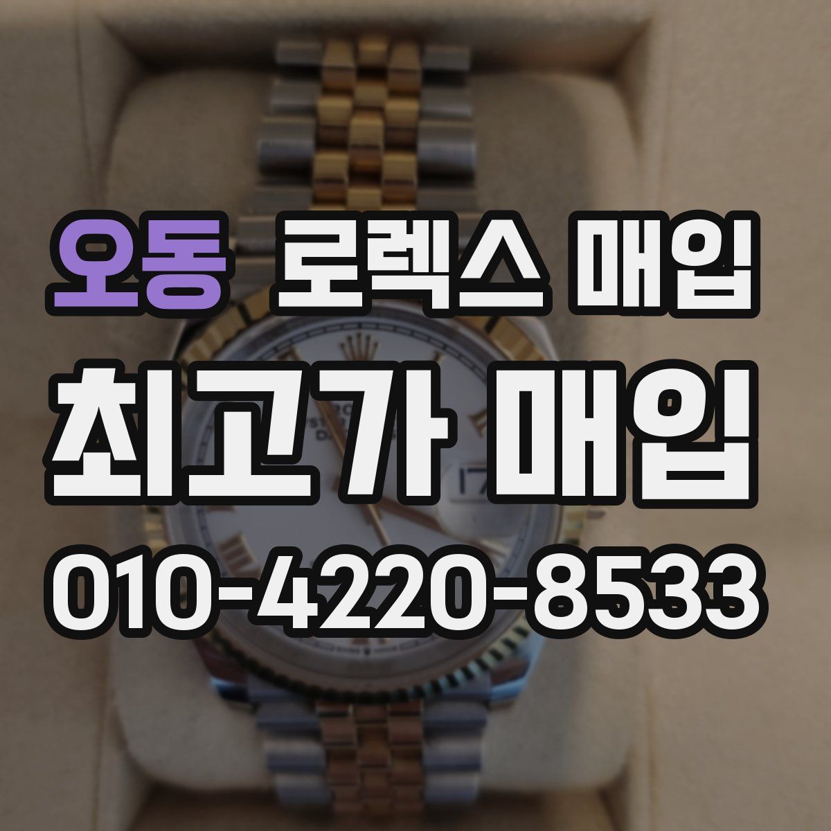 오동 로렉스 매입