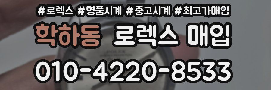 학하동 로렉스 매입