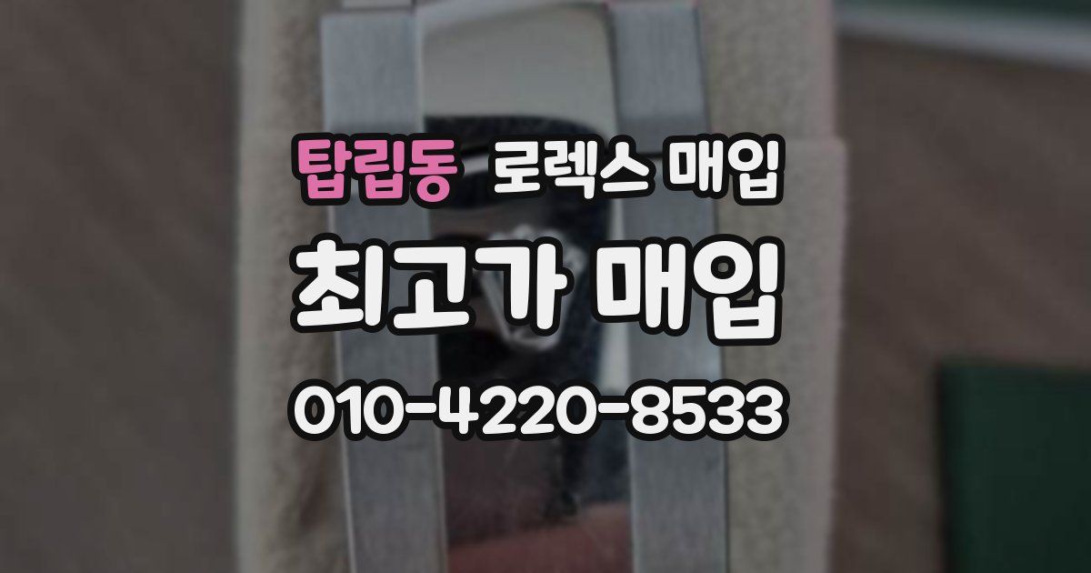 탑립동 로렉스 매입