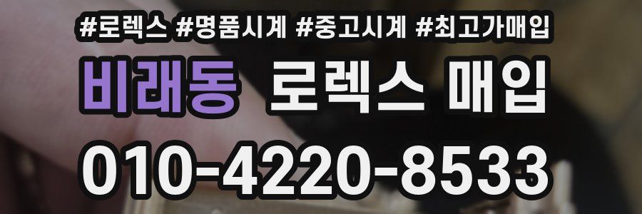 비래동 로렉스 매입