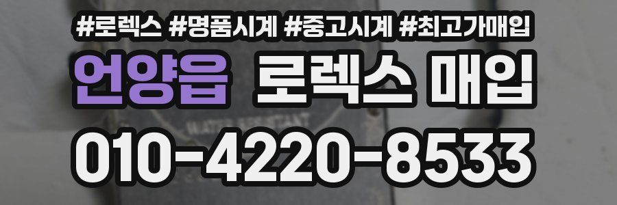 언양읍 로렉스 매입