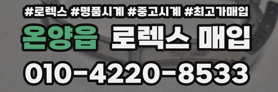 온양읍 로렉스 매입