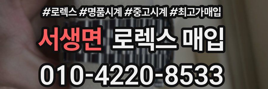 서생면 로렉스 매입