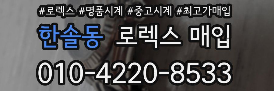 한솔동 로렉스 매입