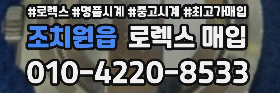 조치원읍 로렉스 매입