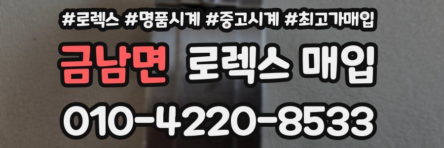 금남면 로렉스 매입