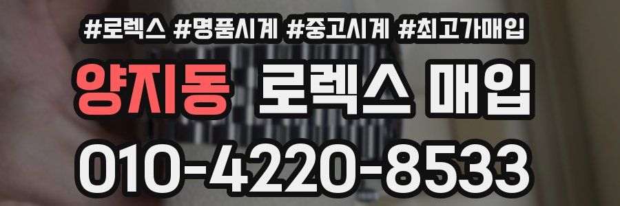 양지동 로렉스 매입