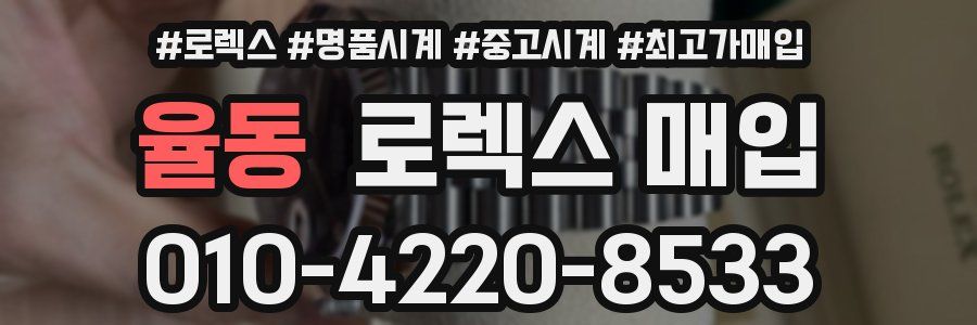 율동 로렉스 매입