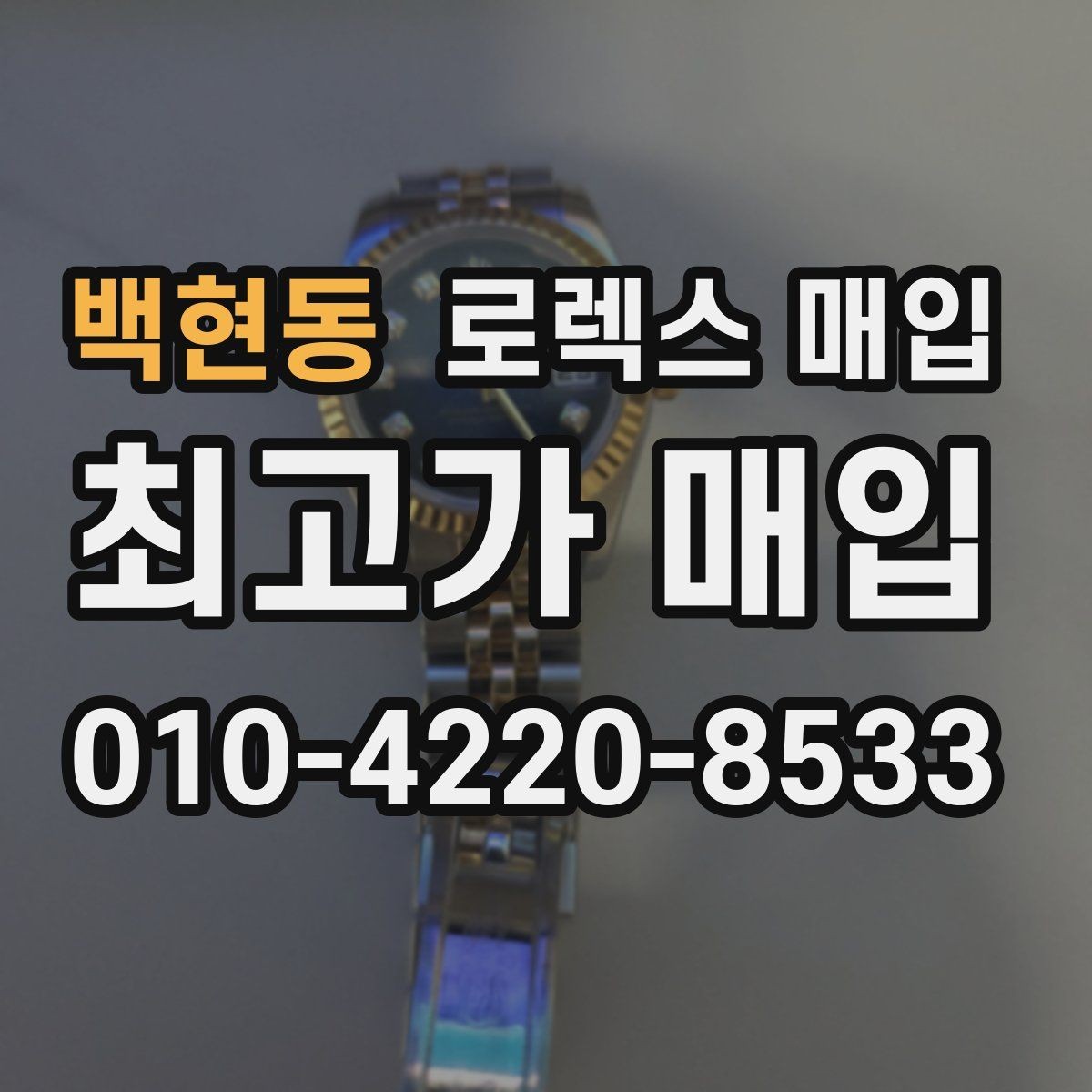 백현동 로렉스 매입 금통 모델은 무엇을 더 꼼꼼히 볼까