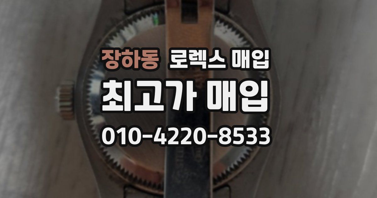 장하동 로렉스 매입