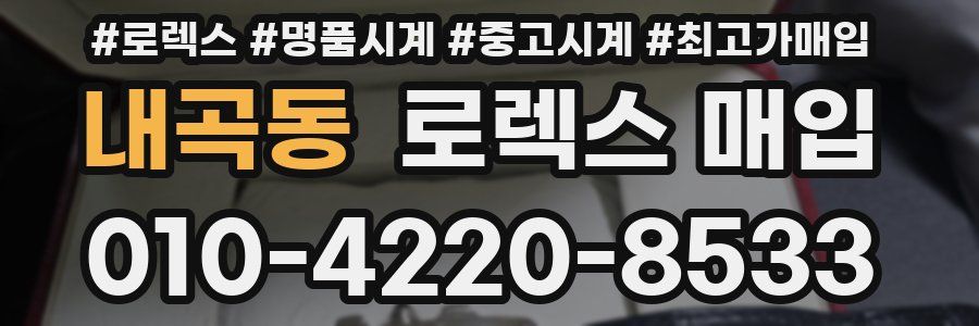 내곡동 로렉스 매입