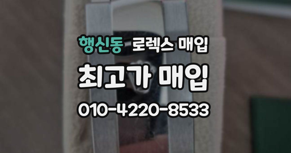 행신동 로렉스 매입