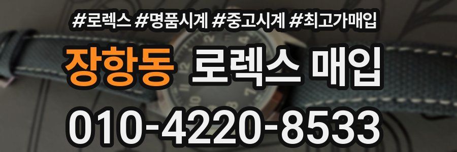 장항동 로렉스 매입