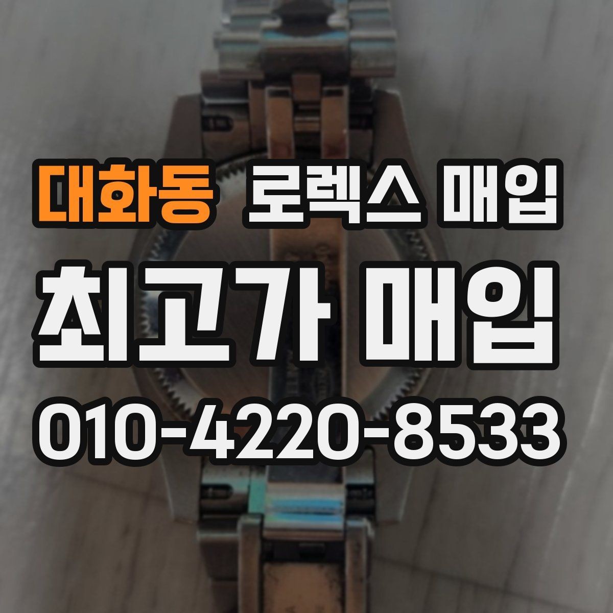 대화동 로렉스 매입 플래티넘 모델 시세 확인 방법