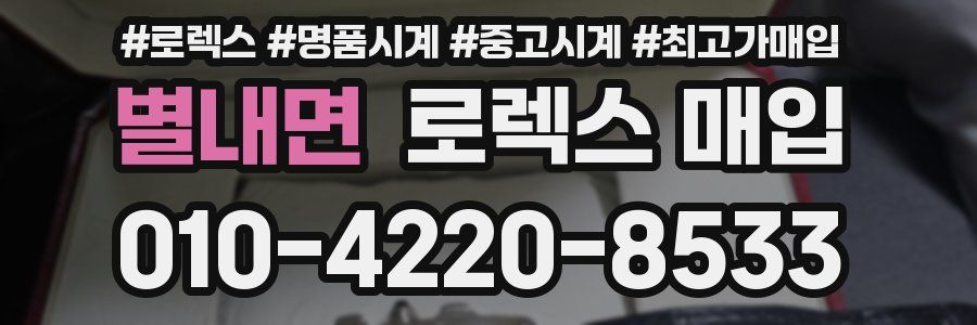 별내면 로렉스 매입