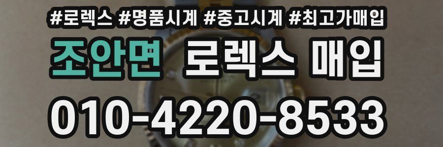 조안면 로렉스 매입